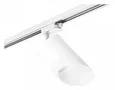 R1T348686 Светильник RULLO GX53