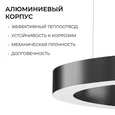R30-019 Светильник светодиодный кольцо, серии OLA, подвесной,30Вт, ~230 В / 50 Гц, 3300лм, 4000К, IP20, 600x35x40мм, алюминий, чёрный, расс