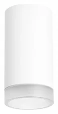 R4363437 Светильник RULLO HP16