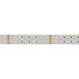 Лента RT-B144-19mm 24V RGBW-Warm (32 W/m, IP20, 5060, 5m) (Arlight, Открытый)