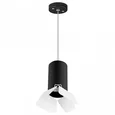 Подвесной светильник Rullo RP437436