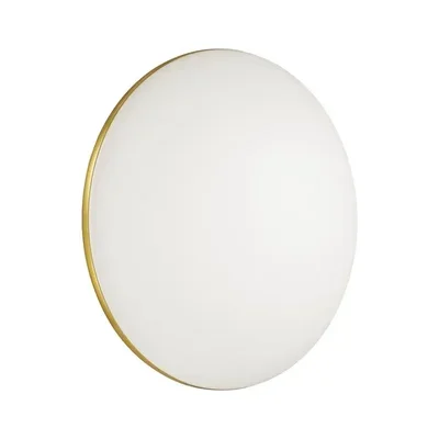 Настенно-потолочный светодиодный светильник Sonex Lassa 3043/CL