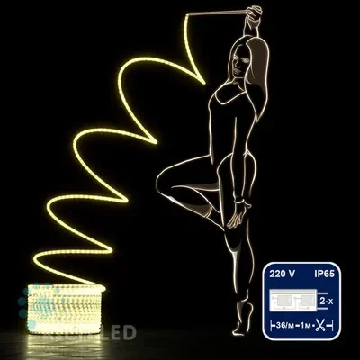 Светодиодный дюралайт Rich LED, 2-х проводной, матовый, теплый белый, кратность резки 1 метр, диаметр 13 мм, 220 В,100 м. RL-DL-2WHM-100-240-WW