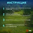 SL-PL155-PST ЭРА Садовый светильник на солнечной батарее, пластик, черный, 155 см
