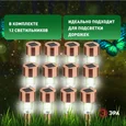 Светильник уличный ЭРА SL-SS30-CPR-M на солнечной батарее, нержавеющая сталь, медный, 32 см