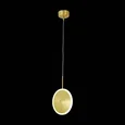 Подвесной светильник ST-Luce Imente SL1221.203.01