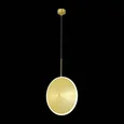 Подвесной светильник ST-Luce Imente SL1221.213.01