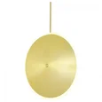 Подвесной светильник ST-Luce Imente SL1221.213.01