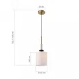 Люстра подвесная ST-Luce Латунь/Прозрачный E14*6 40W BLACK+BRASS