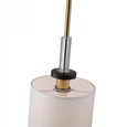 Люстра подвесная ST-Luce Латунь/Прозрачный E14*6 40W BLACK+BRASS