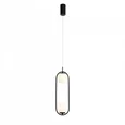 Подвесной светильник Donolo SL395.403.02
