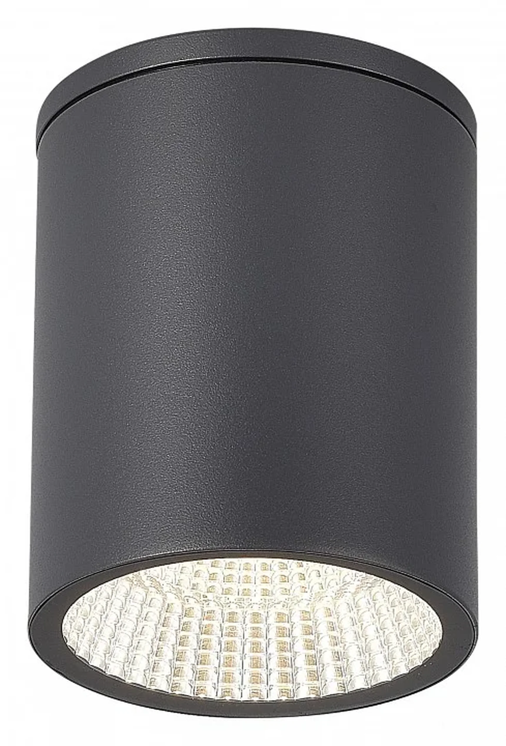 Светильник уличный потолочный ST-Luce серый/белый LED 1*12W 3000K/4000K/6500K