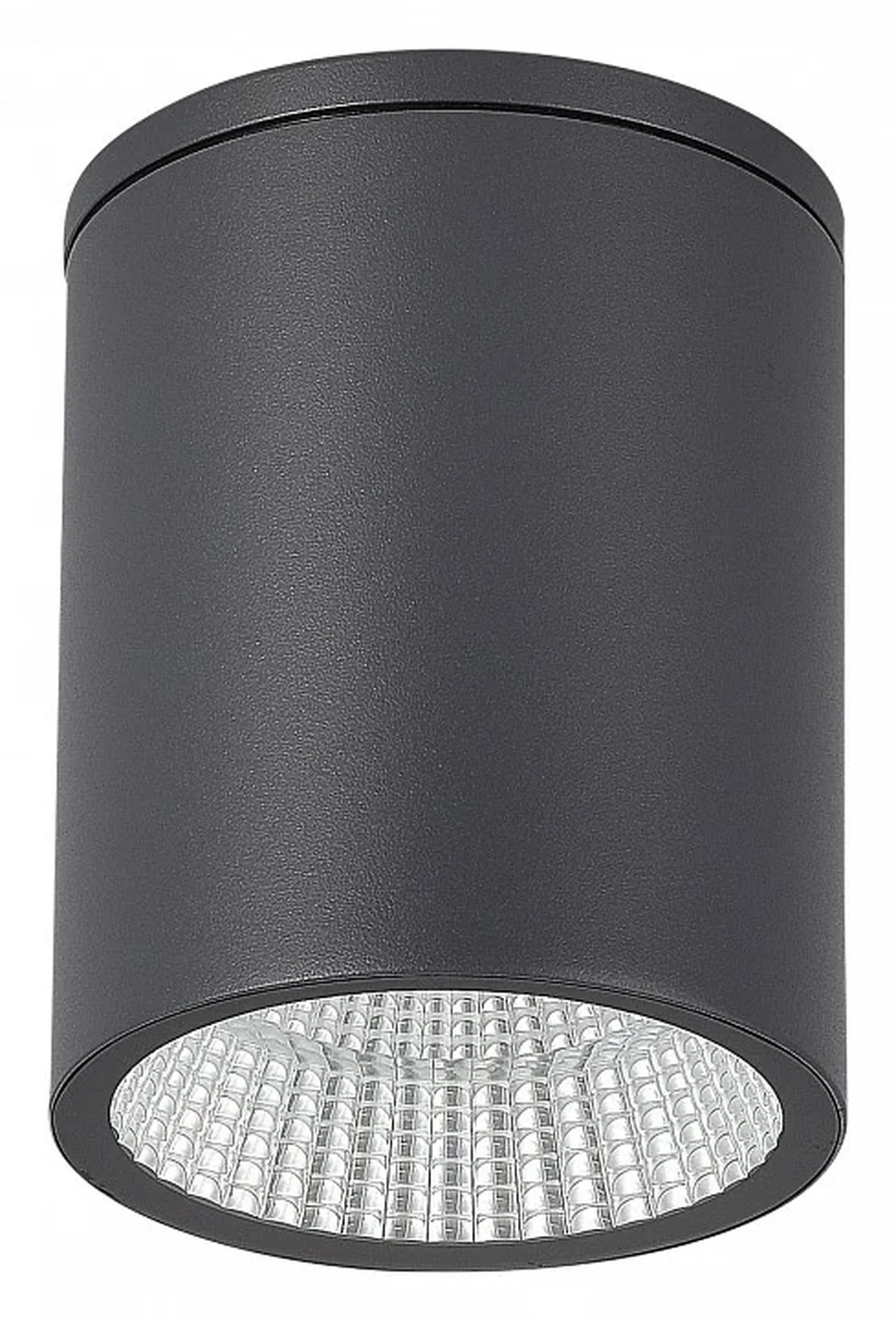 Светильник уличный потолочный ST-Luce серый/белый LED 1*12W 3000K/4000K/6500K