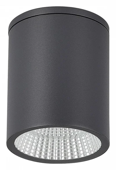 Светильник уличный потолочный ST-Luce серый/белый LED 1*12W 3000K/4000K/6500K