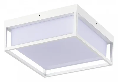 Светильник уличный потолочный ST-Luce белый/белый LED 1*20W 3000K/4000K/5000K
