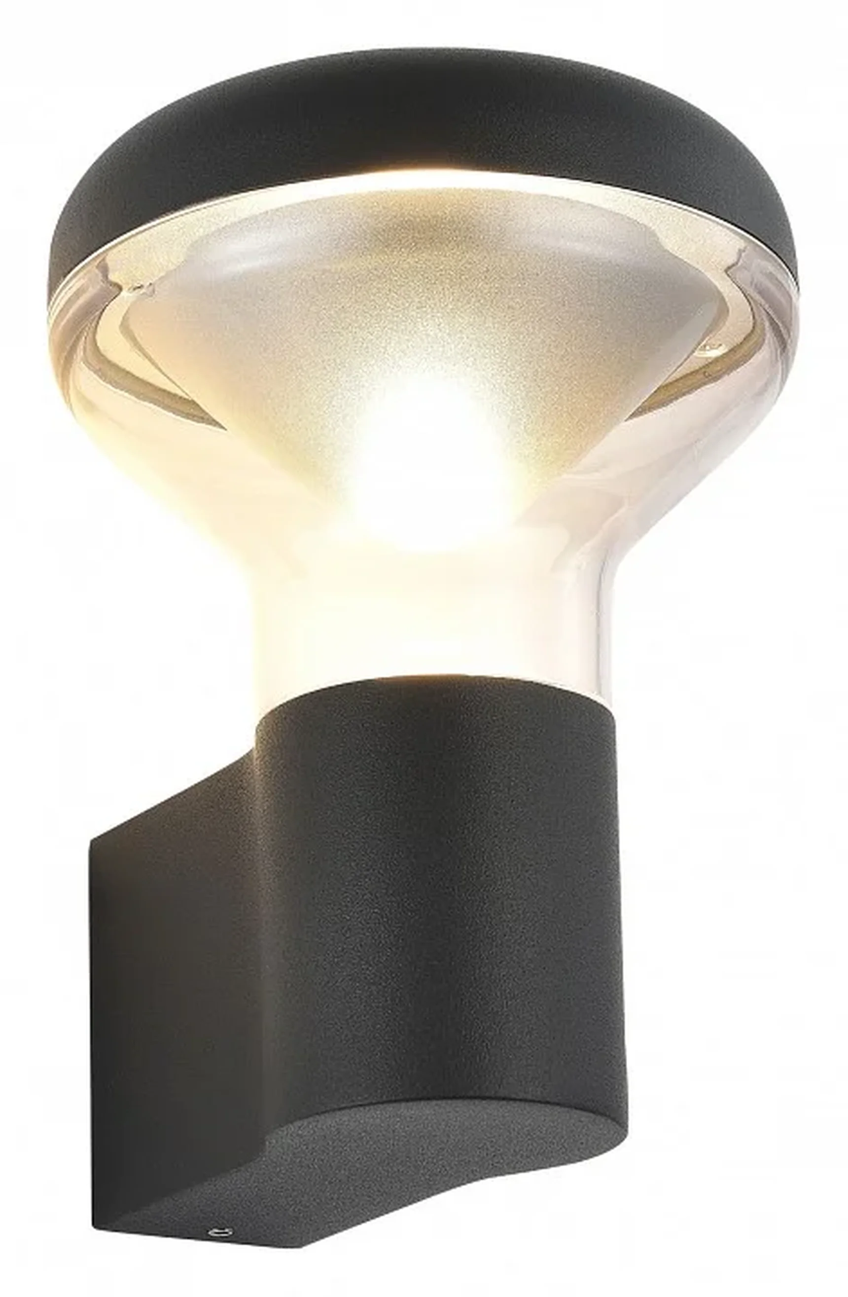 Светильник настенный ST-Luce темно-серый/прозрачный LED 1*6W 3000K