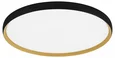 SLE1810-402-01 Светильник потолочный Черный, Золотистый/белая LED 1*42W 4000K HELST