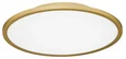 SLE1811-202-01 Светильник потолочный Золотистый/белая LED 1*42W 4000K TASSEN