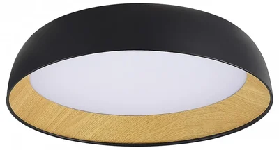 SLE1812-402-01 Светильник потолочный Черный, Древесный/белая LED 1*36W 4000K MUSE