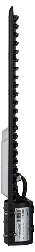 Уличный светильник ЭРА SPP-503-0-30K-100 100Вт 3000K 10000Лм IP65 КСС Ш-с DOB-SMD 48мм