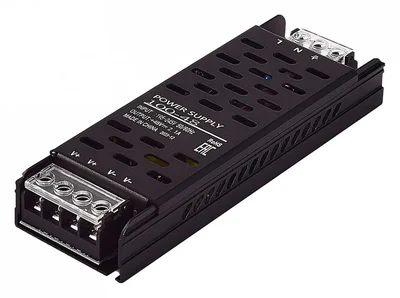 ST008.148.100 Блок питания 100W СКАЙЛАЙН 48V