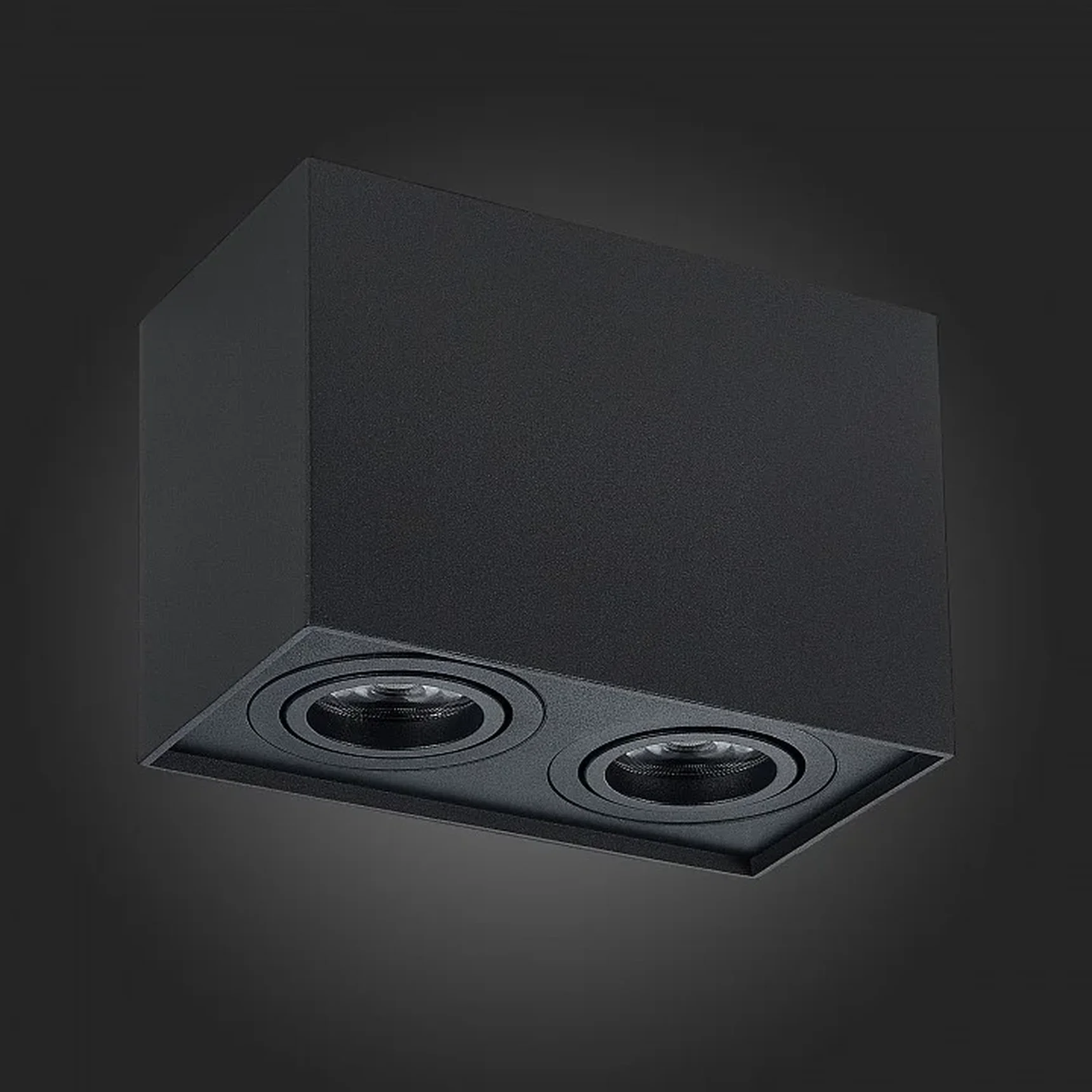 Светильник потолочный Черный GU10 2*50W L181xW100xH123 220V Без ламп