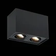 Светильник потолочный Черный GU10 2*50W L181xW100xH123 220V Без ламп
