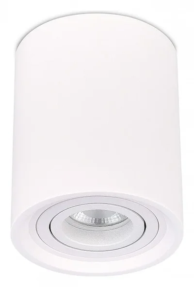 Светильник потолочный Белый GU10 1*50W IP20 D100xH120 180-240V Без ламп