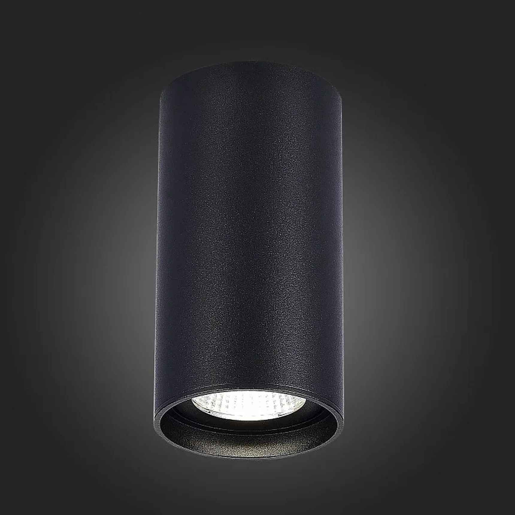 Светильник потолочный Черный LED 1*15W 3000K 1 200Lm Ra>90 60° IP44 D75xH140 220-265V