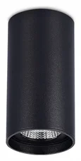 Светильник потолочный Черный LED 1*15W 3000K 1 200Lm Ra>90 60° IP44 D75xH140 220-265V