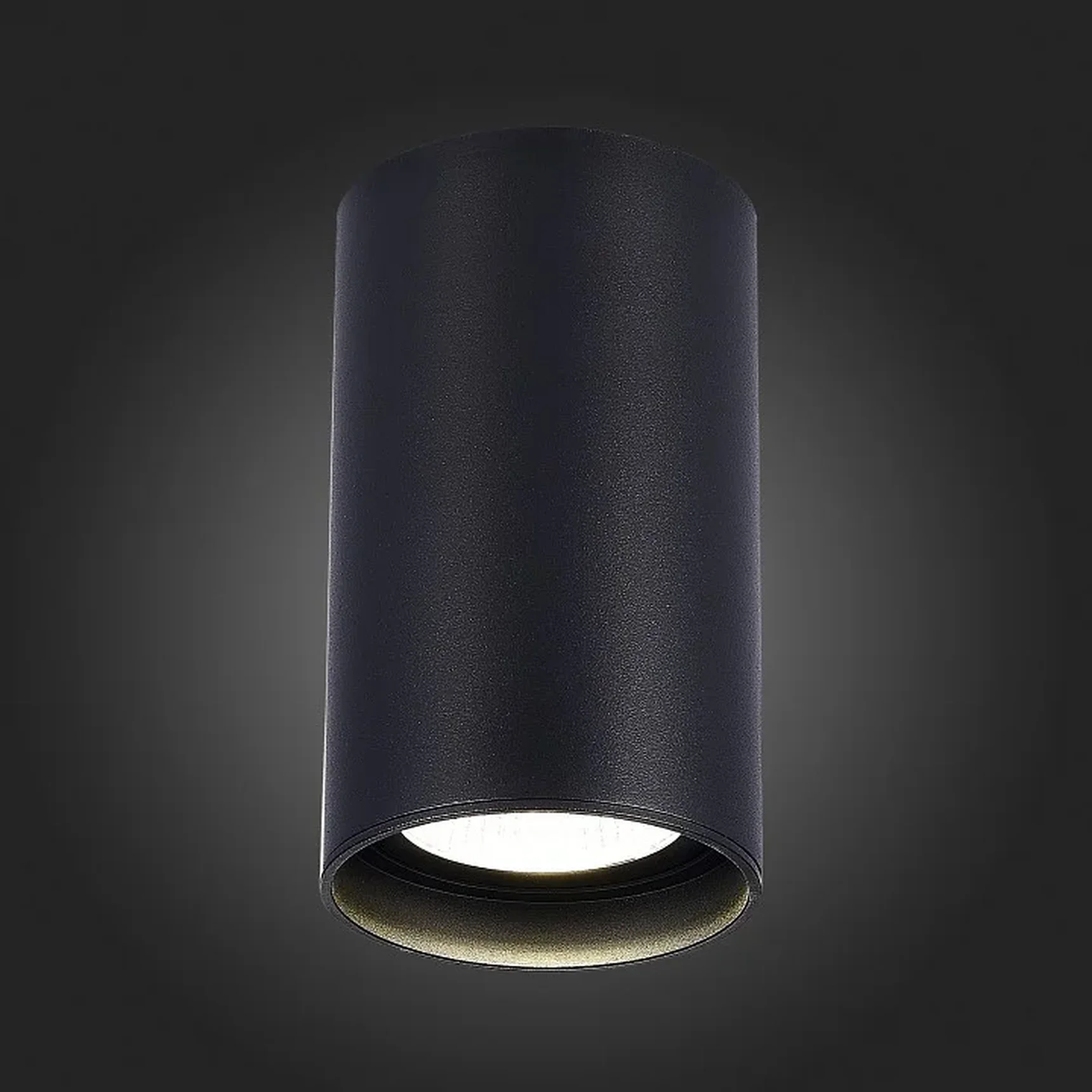 Светильник потолочный Черный LED 1*20W 3000K 1 600Lm Ra>90 60° IP44 D95xH150 220-265V