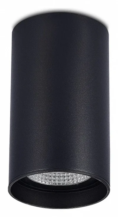 Светильник потолочный Черный LED 1*20W 3000K 1 600Lm Ra>90 60° IP44 D95xH150 220-265V