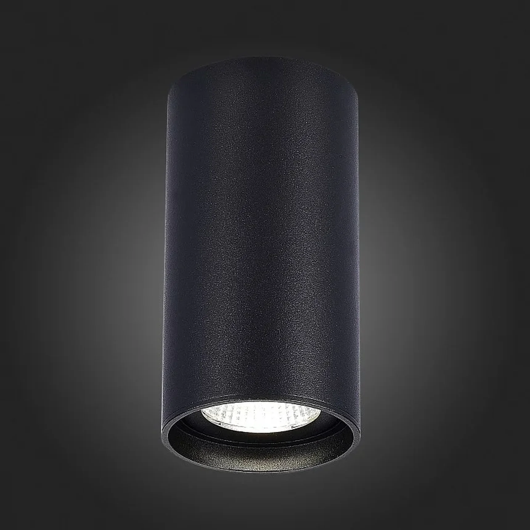 Светильник потолочный Черный LED 1*15W 4000K 1 200Lm Ra>90 60° IP44 D75xH140 220-265V