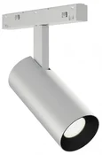 Светильник на штанге ST-Luce SKYLINE 48+ ST2365.546.08_LG_R