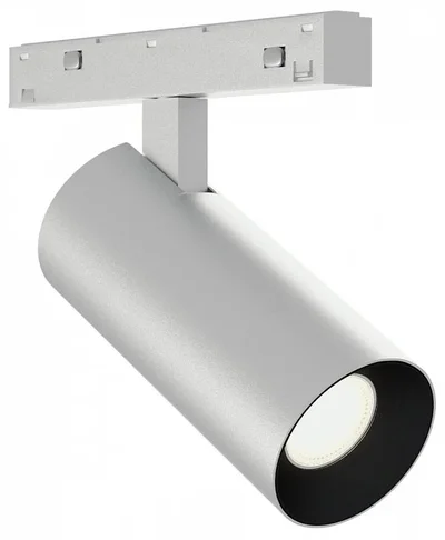 Светильник на штанге ST-Luce SKYLINE 48+ ST2365.546.08_SH_R