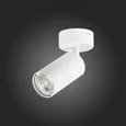 Спот ST-Luce Dario ST303.502.01