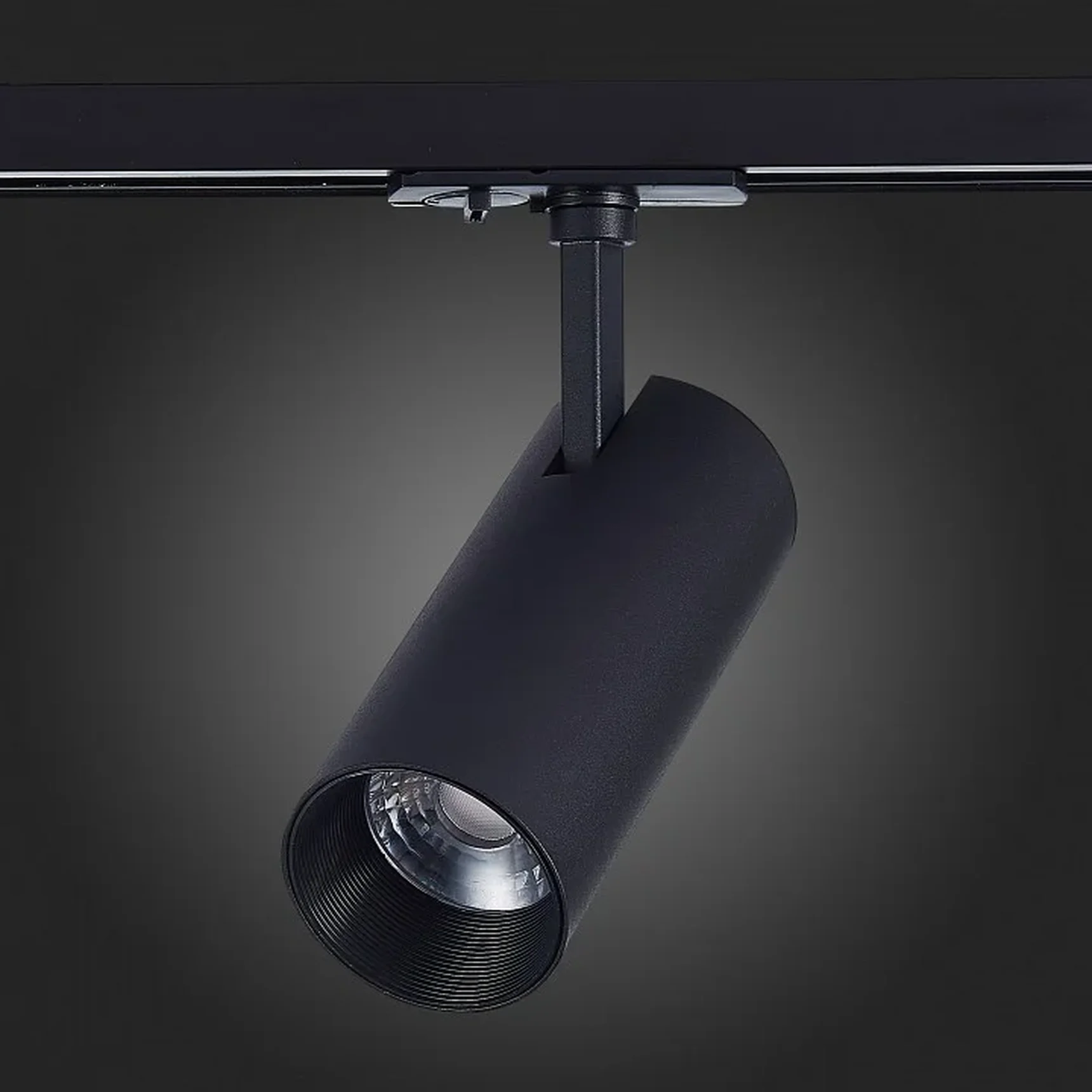 Светильник на штанге ST-Luce Mono ST350.436.20.36