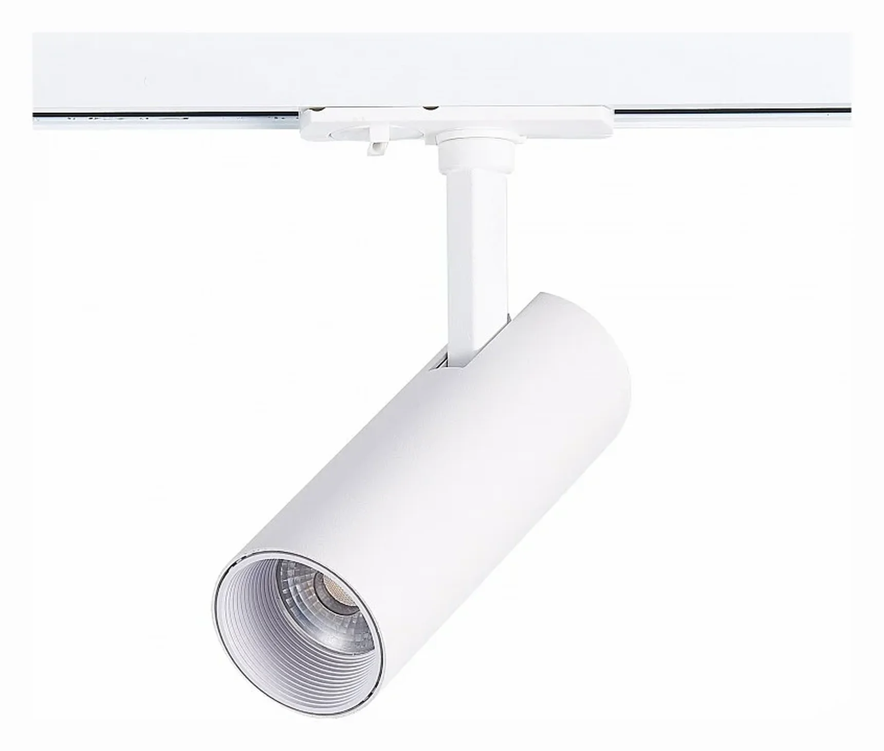 Светильник на штанге ST-Luce Mono ST350.546.10.36