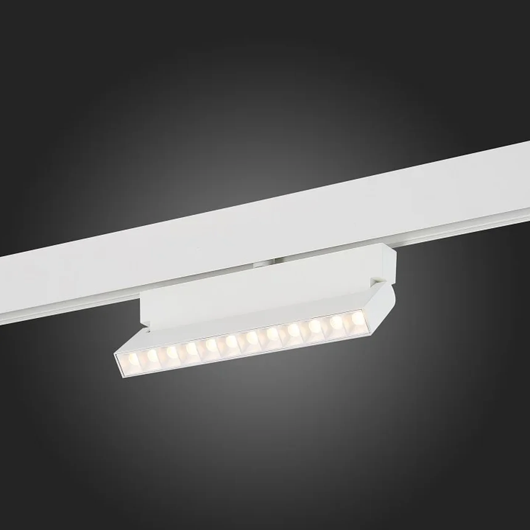 Магнитный трековый светильник белый LED 1*12W 3000K 1 009Lm Ra>80 36° IP20 L219xW22xH134 48V