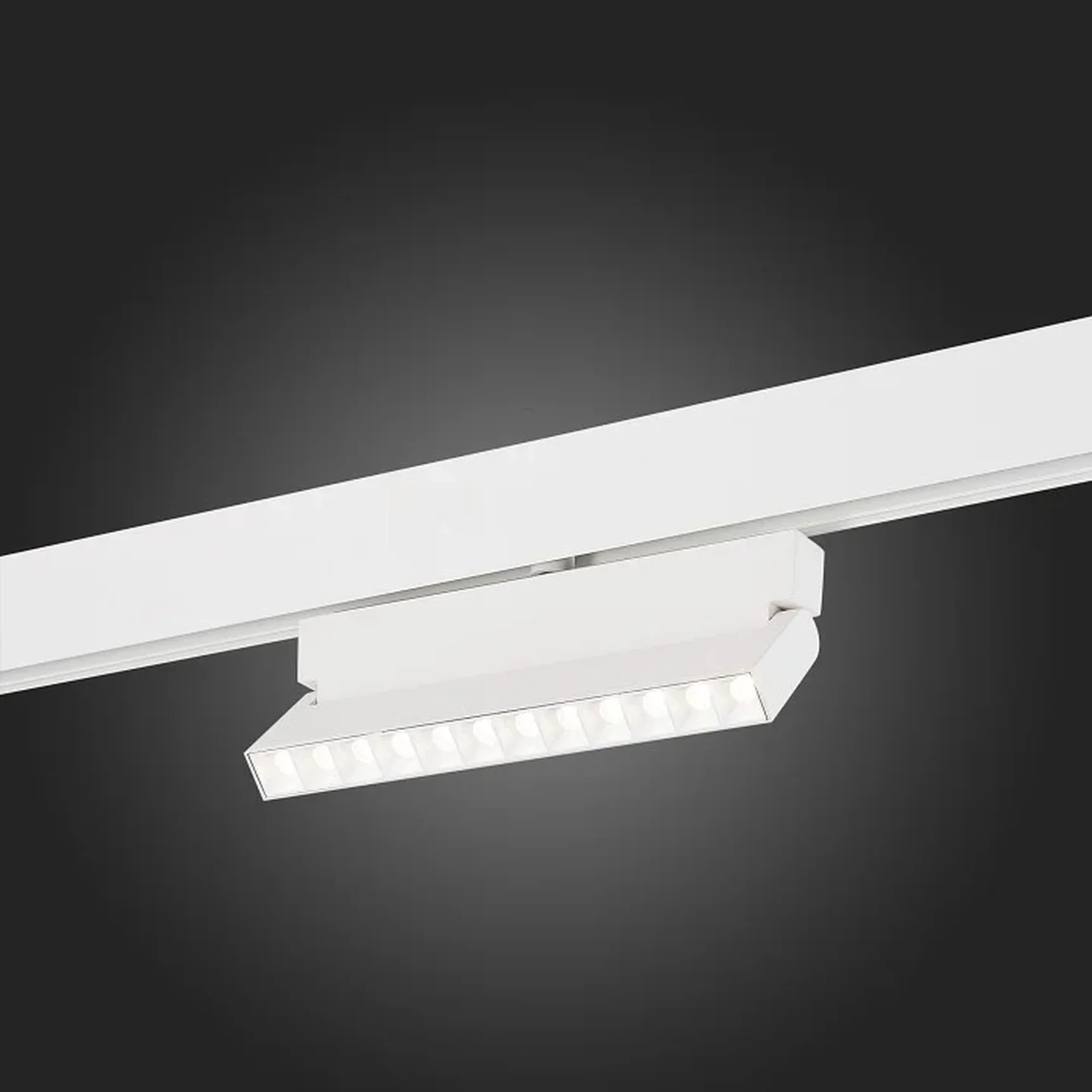 Магнитный трековый светильник белый LED 1*12W 4000K 1 009Lm Ra>80 36° IP20 L219xW22xH134 48V