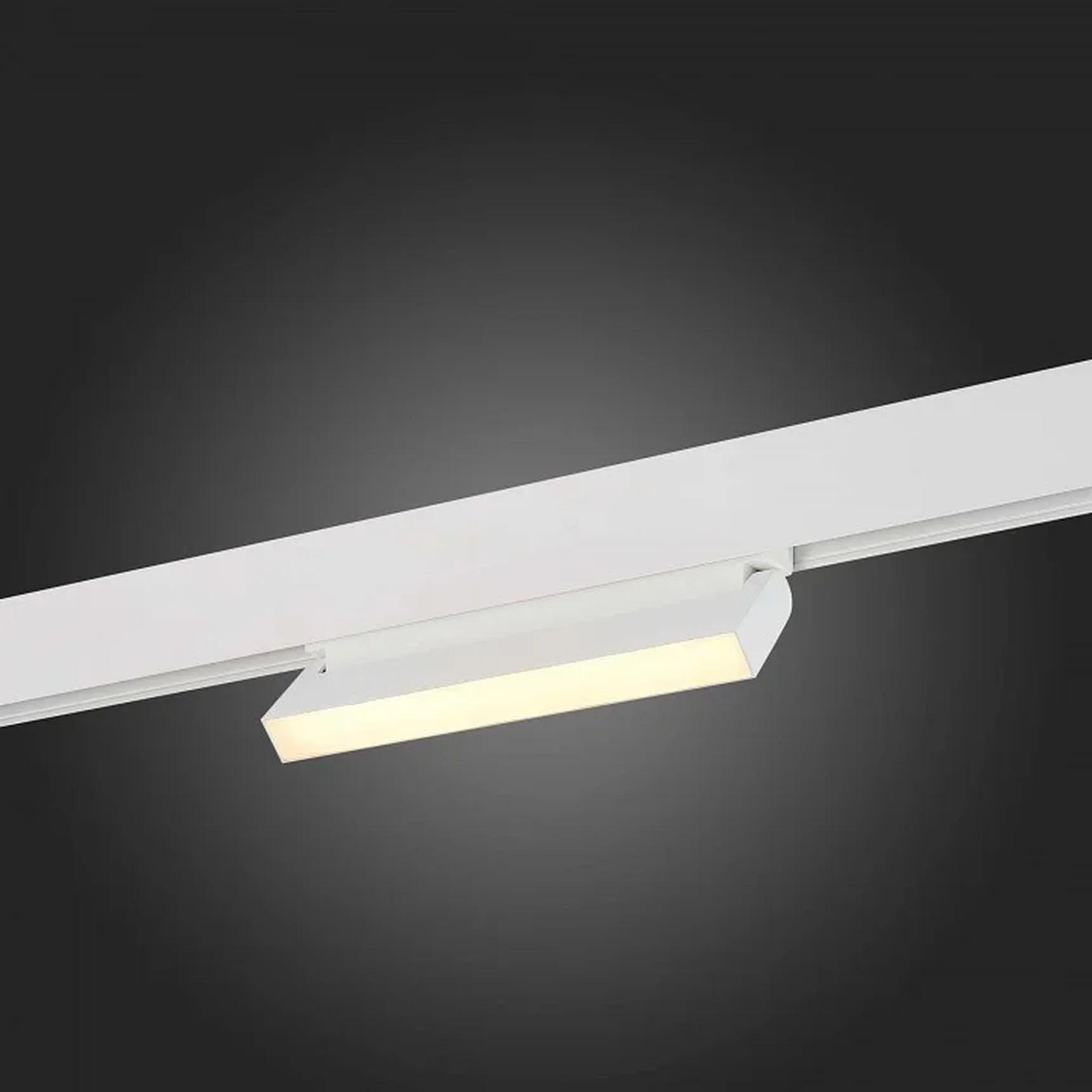 Магнитный трековый светильник Белый LED 1*12W 3000K 720Lm Ra>80 120 IP20 L219xW22xH108 48V