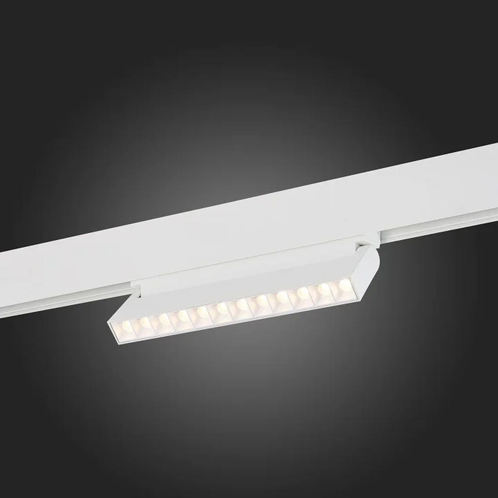 Магнитный трековый светильник белый LED 1*12W 3000K 1 009Lm Ra>80 36° IP20 L219xW22xH108 48V