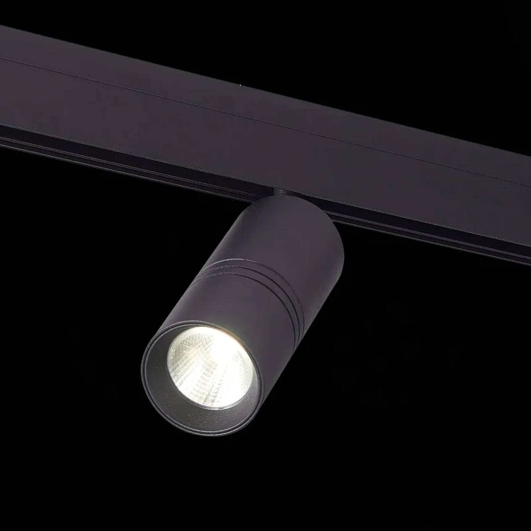 Магнитный трековый светильник Черный LED 1*20W 4000K 1 530Lm Ra&gt90 36о IP20 L-xW60xH1 SKYLINE 48