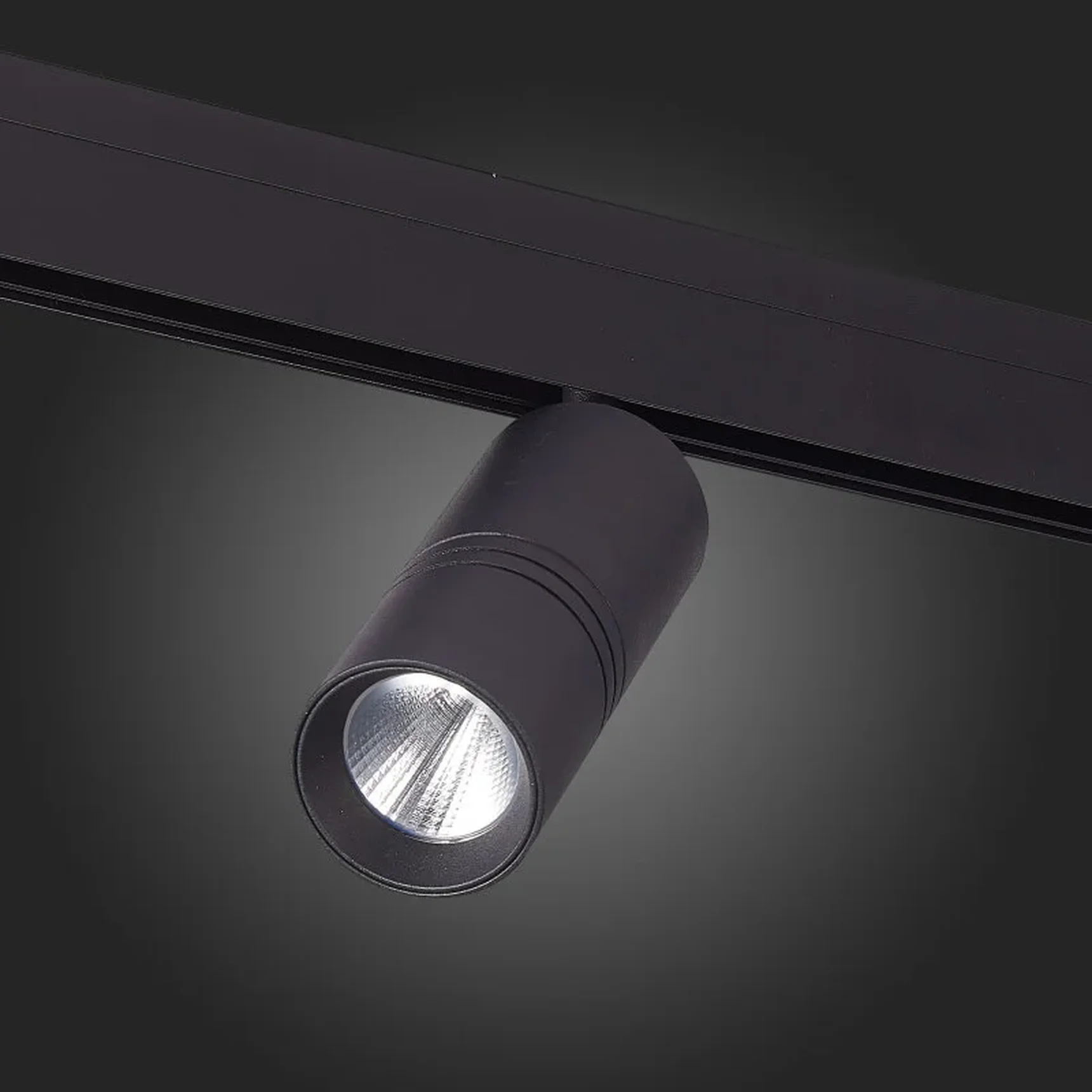 Магнитный трековый светильник Черный LED 1*20W 4000K 1 530Lm Ra&gt90 36о IP20 L-xW60xH1 SKYLINE 48