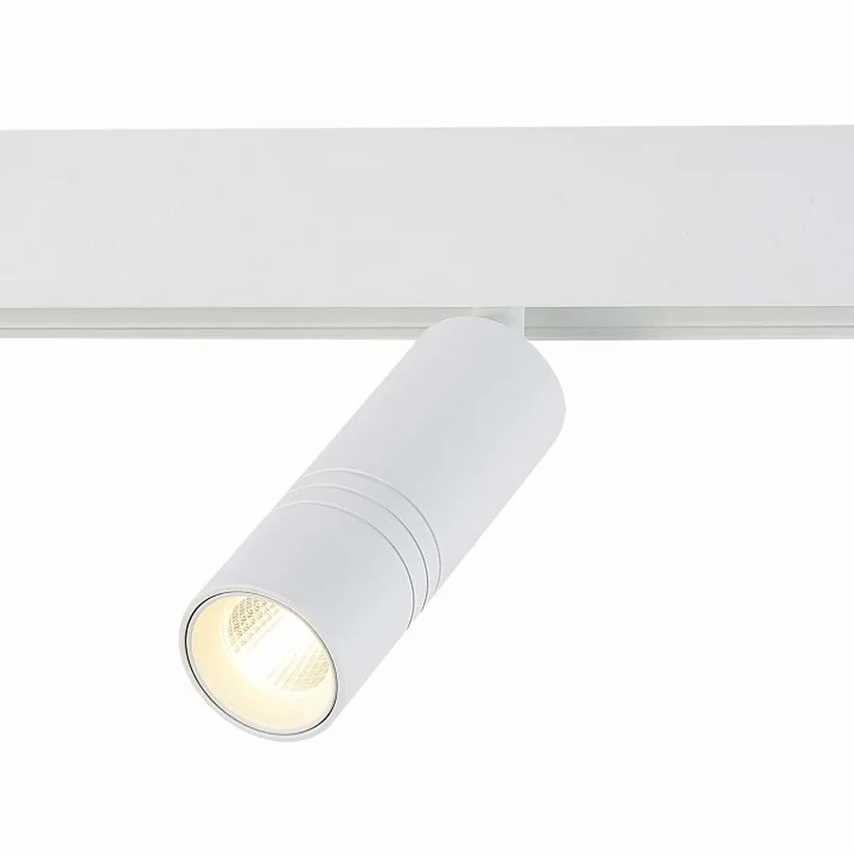 Светильник на штанге ST-Luce Lemmi ST365.536.12