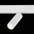 Светильник на штанге ST-Luce Lemmi ST365.536.12