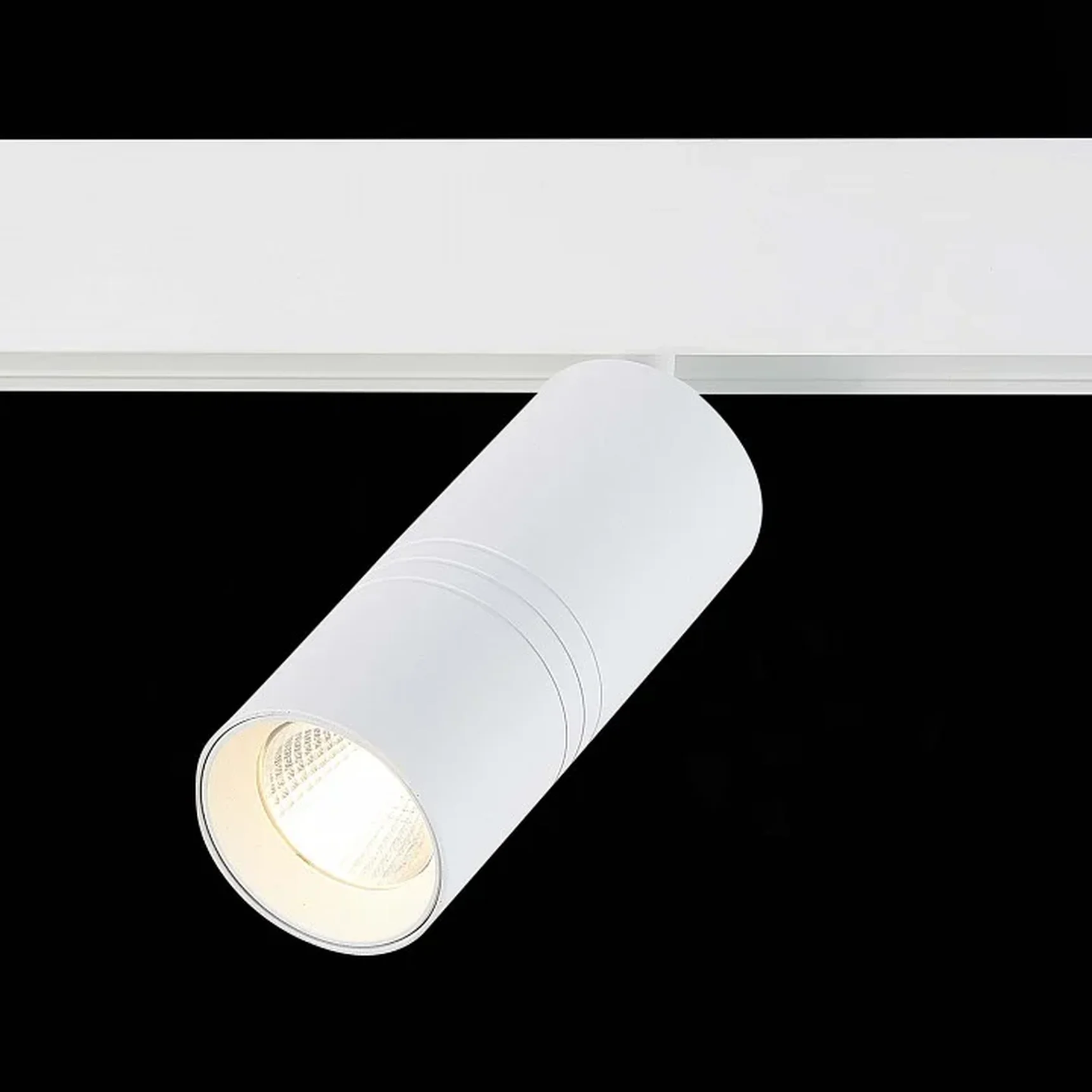 Светильник на штанге ST-Luce Lemmi ST365.536.18