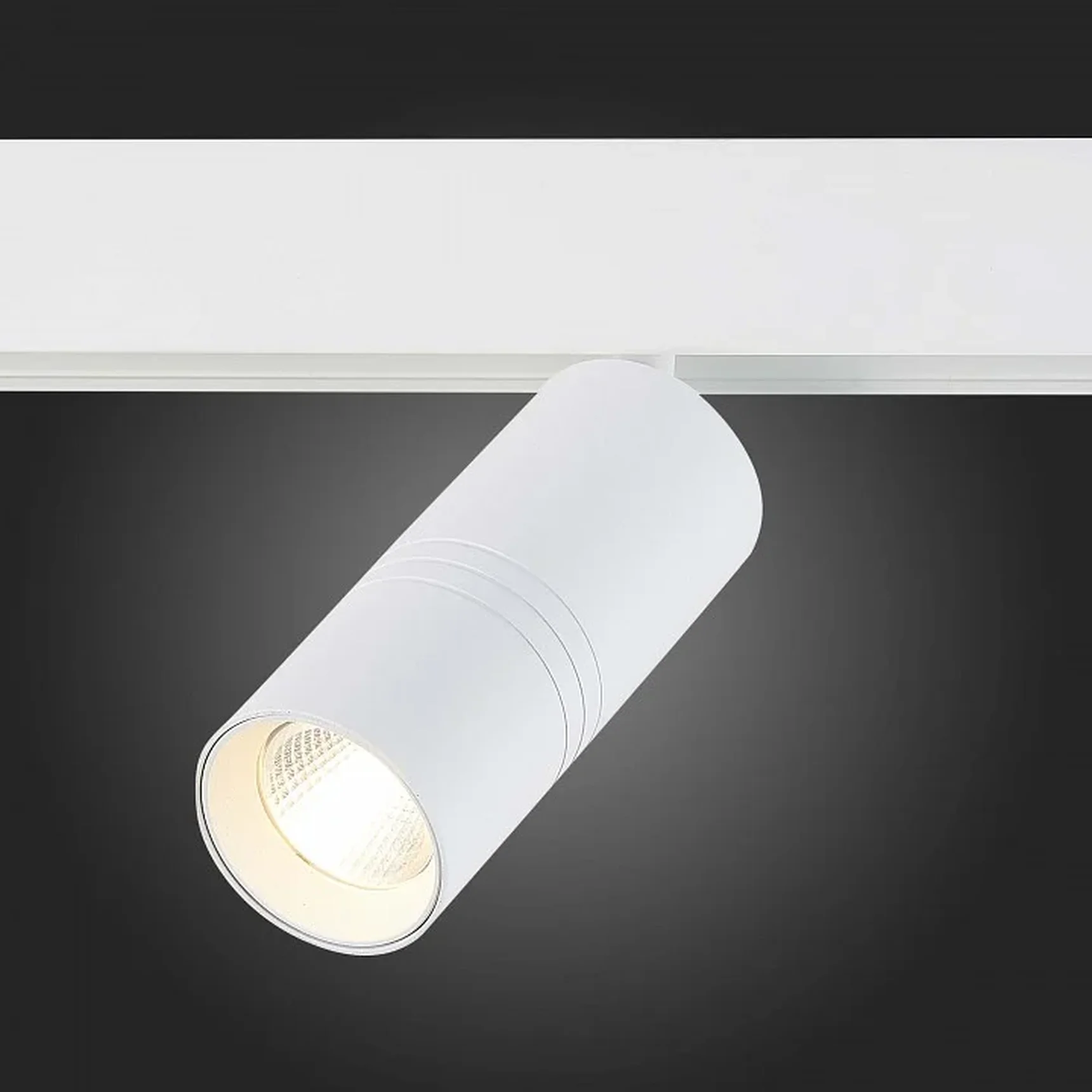 Светильник на штанге ST-Luce Lemmi ST365.536.18