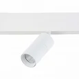 Светильник на штанге ST-Luce Lemmi ST365.546.07