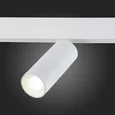 Светильник на штанге ST-Luce Lemmi ST365.546.18